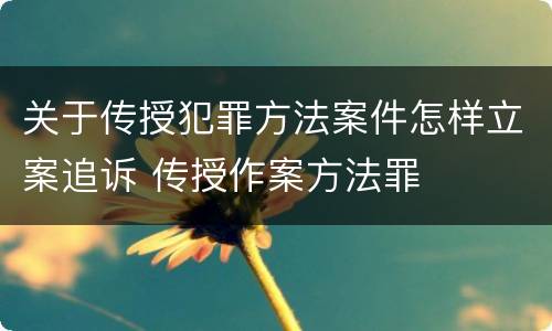 关于传授犯罪方法案件怎样立案追诉 传授作案方法罪