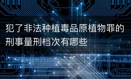 犯了非法种植毒品原植物罪的刑事量刑档次有哪些