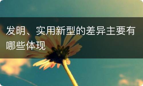 发明、实用新型的差异主要有哪些体现