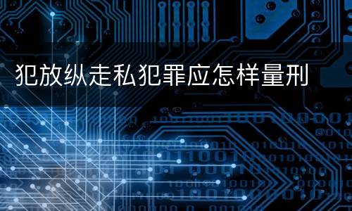 犯放纵走私犯罪应怎样量刑