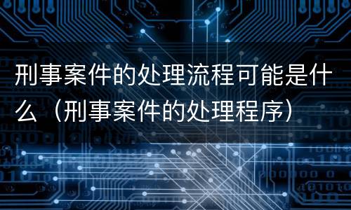 刑事案件的处理流程可能是什么（刑事案件的处理程序）