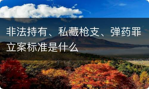 非法持有、私藏枪支、弹药罪立案标准是什么
