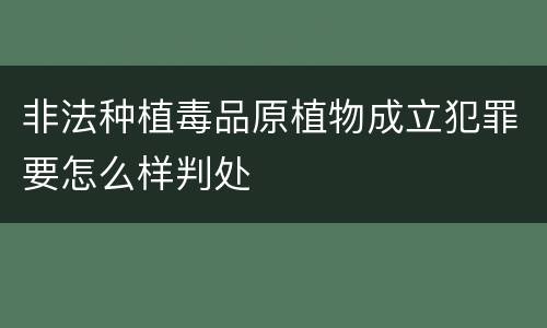 非法种植毒品原植物成立犯罪要怎么样判处