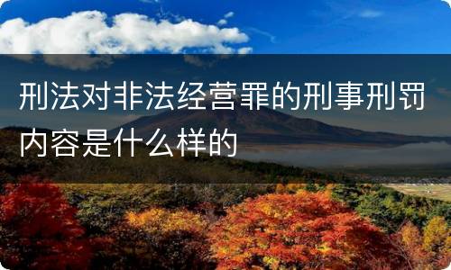 刑法对非法经营罪的刑事刑罚内容是什么样的