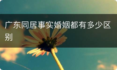 广东同居事实婚姻都有多少区别