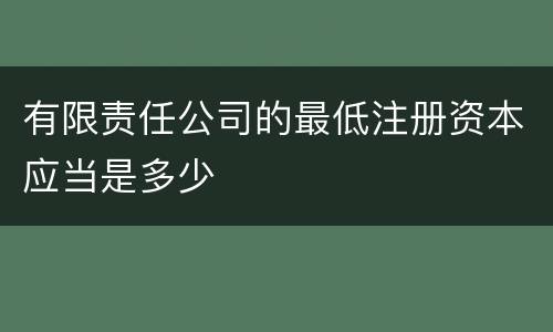 有限责任公司的最低注册资本应当是多少