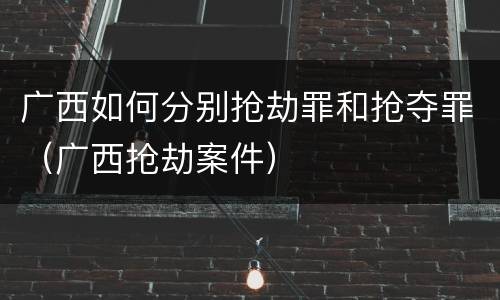 广西如何分别抢劫罪和抢夺罪（广西抢劫案件）
