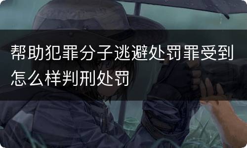 帮助犯罪分子逃避处罚罪受到怎么样判刑处罚