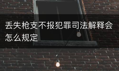 丢失枪支不报犯罪司法解释会怎么规定