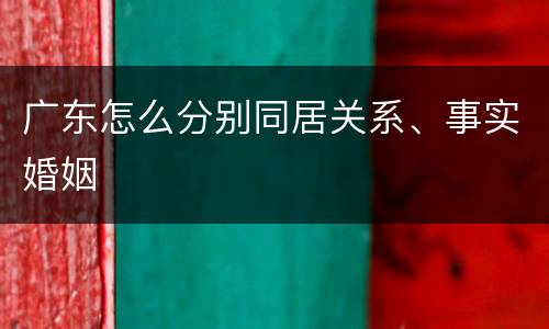 广东怎么分别同居关系、事实婚姻