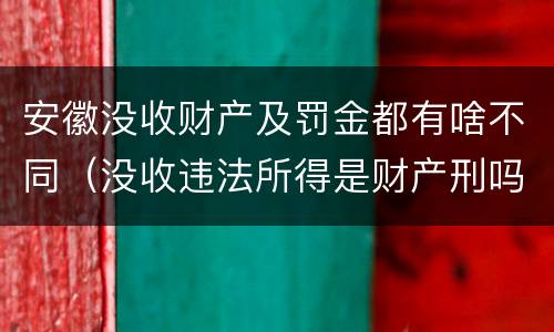 安徽没收财产及罚金都有啥不同（没收违法所得是财产刑吗）