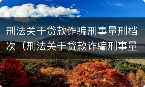 刑法关于贷款诈骗刑事量刑档次（刑法关于贷款诈骗刑事量刑档次的规定）