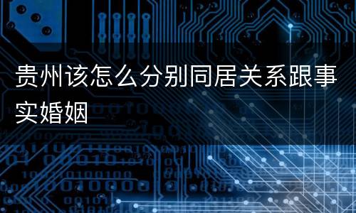 贵州该怎么分别同居关系跟事实婚姻