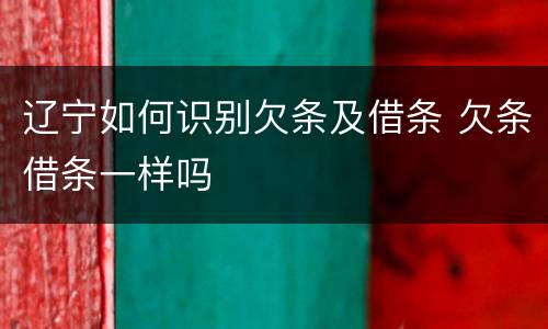辽宁如何识别欠条及借条 欠条借条一样吗