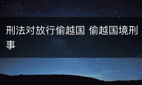 刑法对放行偷越国 偷越国境刑事