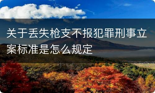 关于丢失枪支不报犯罪刑事立案标准是怎么规定