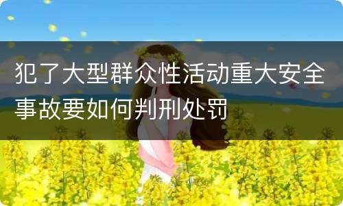 犯了大型群众性活动重大安全事故要如何判刑处罚
