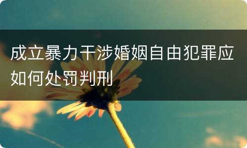 成立暴力干涉婚姻自由犯罪应如何处罚判刑