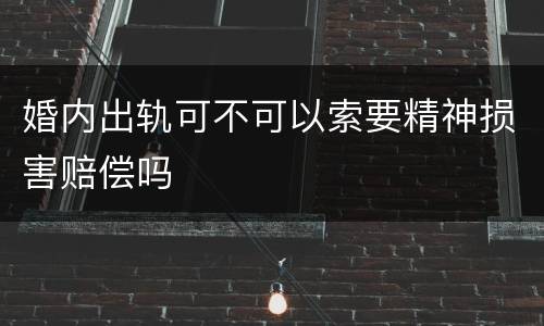 婚内出轨可不可以索要精神损害赔偿吗