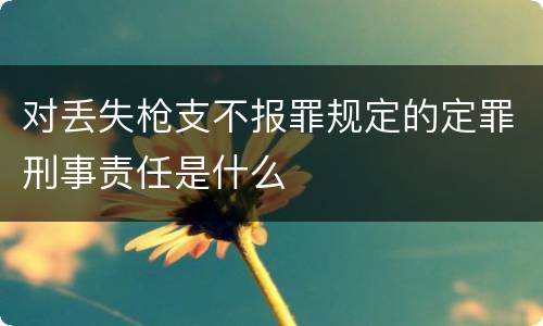 对丢失枪支不报罪规定的定罪刑事责任是什么