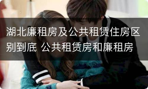 湖北廉租房及公共租赁住房区别到底 公共租赁房和廉租房