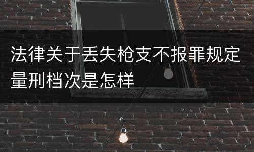 法律关于丢失枪支不报罪规定量刑档次是怎样