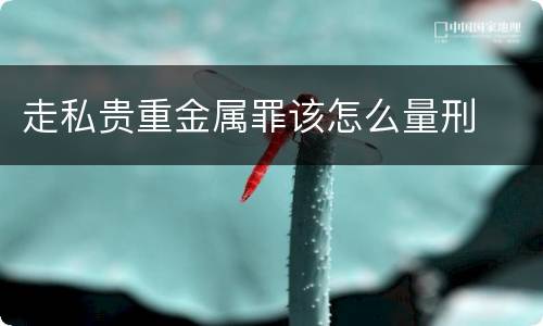 走私贵重金属罪该怎么量刑