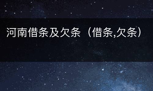 河南借条及欠条（借条,欠条）