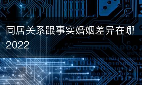 同居关系跟事实婚姻差异在哪2022