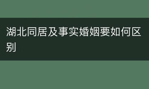 湖北同居及事实婚姻要如何区别