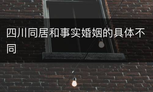 四川同居和事实婚姻的具体不同