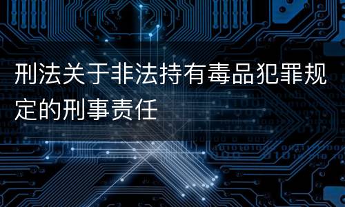 刑法关于非法持有毒品犯罪规定的刑事责任
