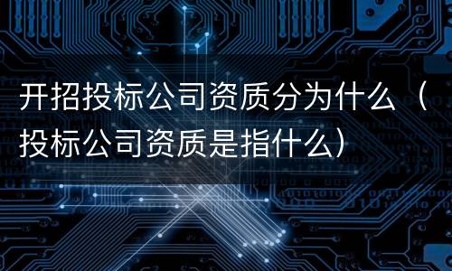 开招投标公司资质分为什么（投标公司资质是指什么）