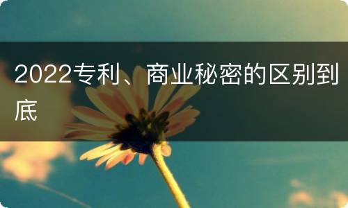 2022专利、商业秘密的区别到底