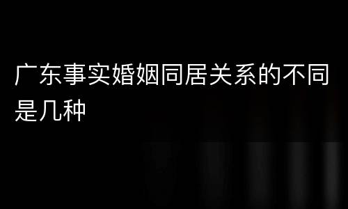 广东事实婚姻同居关系的不同是几种