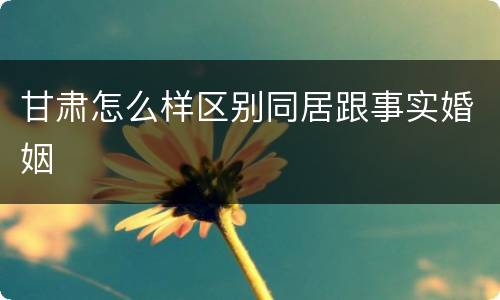 甘肃怎么样区别同居跟事实婚姻