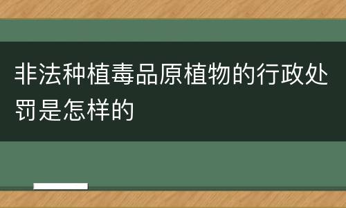 非法种植毒品原植物的行政处罚是怎样的