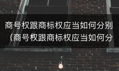 商号权跟商标权应当如何分别（商号权跟商标权应当如何分别确认）