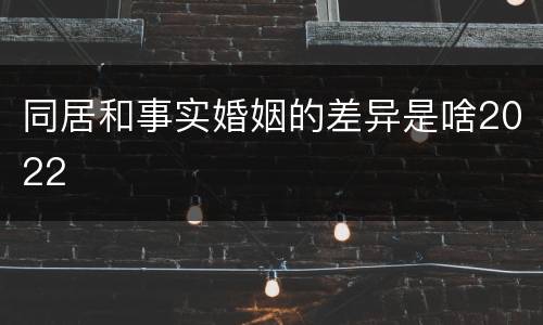同居和事实婚姻的差异是啥2022