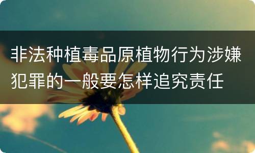 非法种植毒品原植物行为涉嫌犯罪的一般要怎样追究责任