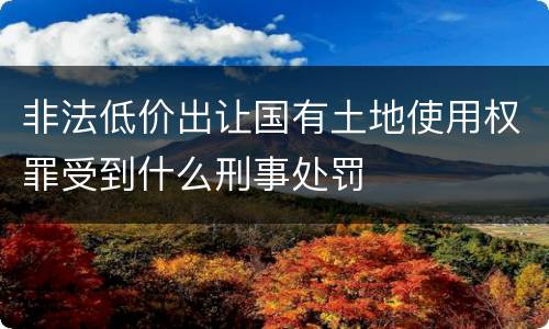非法低价出让国有土地使用权罪受到什么刑事处罚
