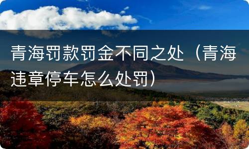 青海罚款罚金不同之处（青海违章停车怎么处罚）