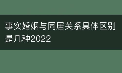 事实婚姻与同居关系具体区别是几种2022