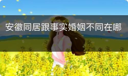 安徽同居跟事实婚姻不同在哪
