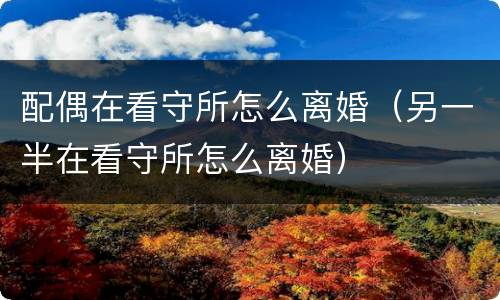 配偶在看守所怎么离婚（另一半在看守所怎么离婚）