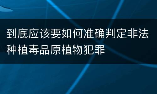 到底应该要如何准确判定非法种植毒品原植物犯罪