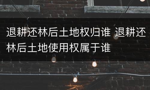 退耕还林后土地权归谁 退耕还林后土地使用权属于谁