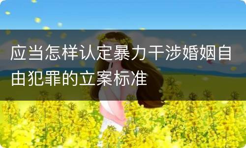 应当怎样认定暴力干涉婚姻自由犯罪的立案标准