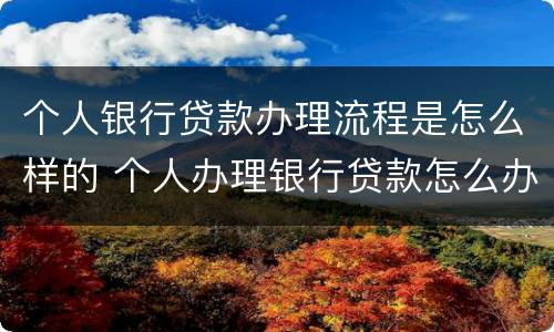 个人银行贷款办理流程是怎么样的 个人办理银行贷款怎么办理