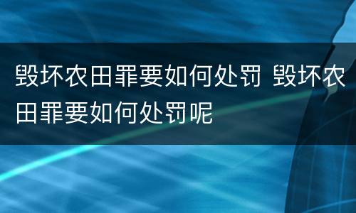 毁坏农田罪要如何处罚 毁坏农田罪要如何处罚呢